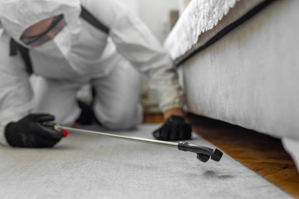 Professional Termite Control technician working in East Quogue, NY